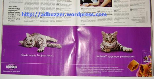 Headline page #1: It will stimulate your cat's senses / Headline page#2: Whiskas with delicious pies